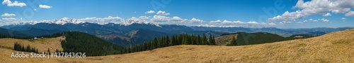 Fototapeta Naklejka Na Ścianę i Meble -  Carpathian mountain plateau spring panorama with fir forest on slope, Ukraine.