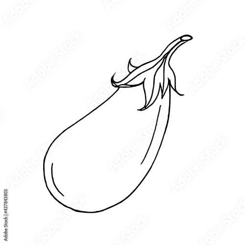 One eggplant on a white background, hand-drawn.Vector eggplant can be used in culinary designs, menus,textiles, napkins.
