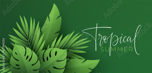 Hello Summer banner. Paper-cut green tropical leaves of palm, monstera. Summer background with tropical plant leaf. Vector illustration