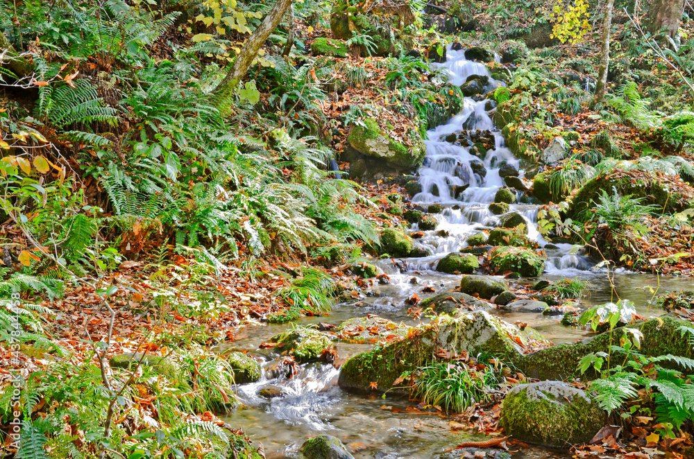Small waterfall in Oirase Stream, Aomori, Japan. Small waterfall in Oirase Stream, Aomori, Japan.