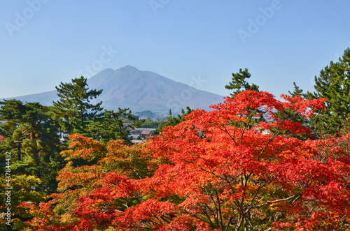 Iwaki Mountain and Maple leaves in the Autumn season in Aomori Prefecture, Tohoku, Japan.  photo