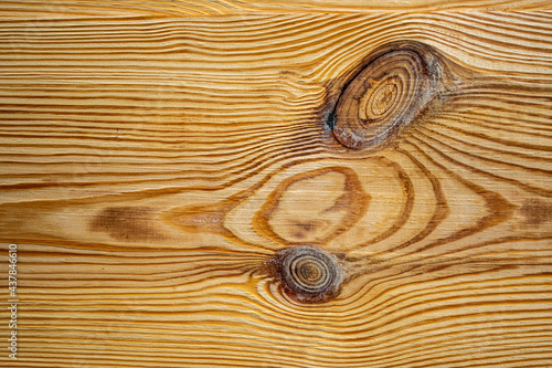 Close-up of a pine wood texture