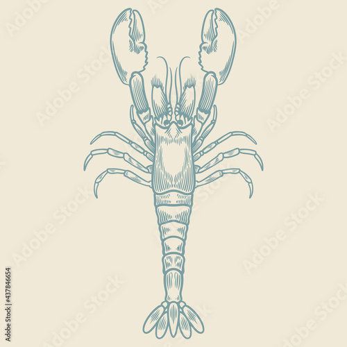 Hand drawn of vintage lobst...