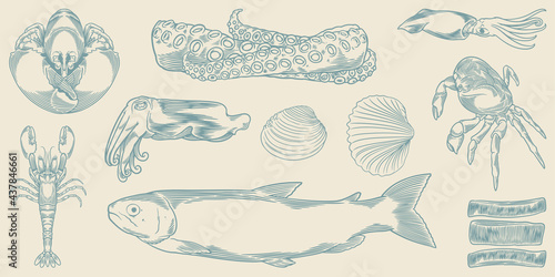 Set of hand drawn sea anima...