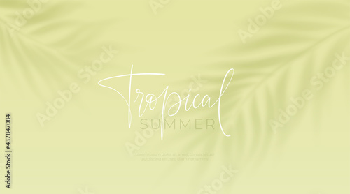 Realistic transparent shadow from a leaf of a palm tree on the green background. Tropical leaves shadow. Mockup with palm leaves shadow. Vector illustration