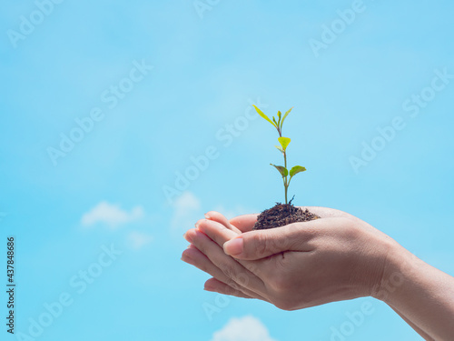 hand of man holding young plant ready to grow with cloud and soft blue sky background, save the world and World Environment Day concept.