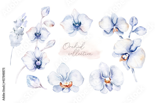 Fototapeta Naklejka Na Ścianę i Meble -  Set of Watercolor illustration Tropical blue Orchid. Isolated illustration . Exotic blossom flower. Summer tropical bloom. Trendy fabric