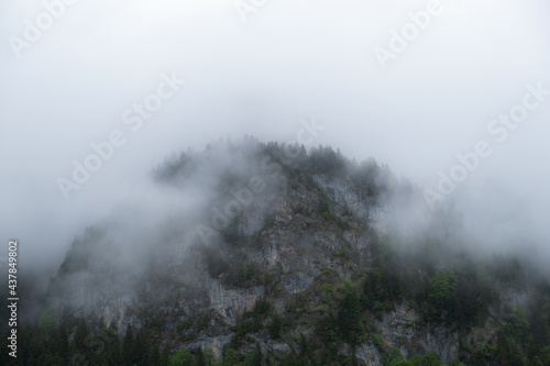 mountain shrouted in fog