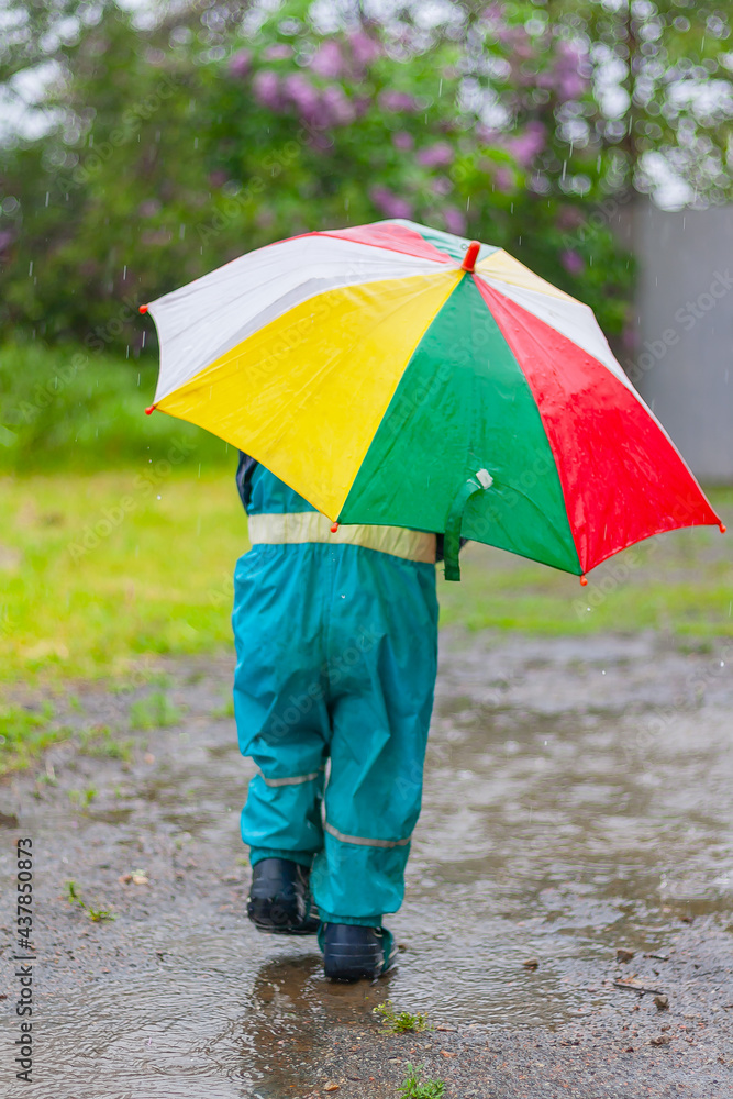 Obraz premium a little child walks in the rain down the street holding an umbrella in his hands