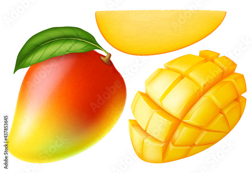 Set of ripe mango fruit isolated on white background. Vector illustration.