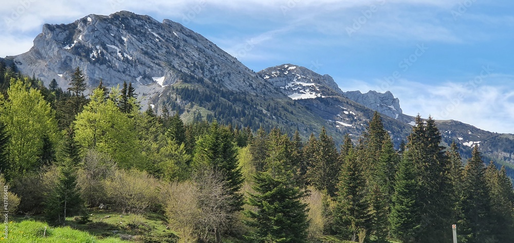 Plateau du Vercors au Printemps