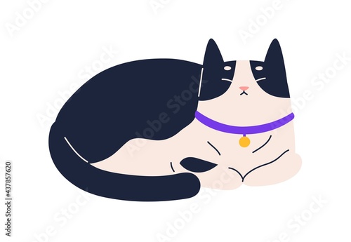 Cute happy relaxed cat purring. Adorable kitty resting with closed eyes. Contented sweet kitten lying and enjoying . Flat vector illustration of calm feline animal isolated on white background