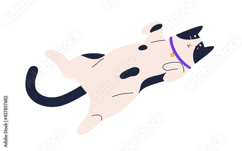 Cute happy cat lying belly up. Adorable kitty resting in relaxed pose. Lazy sweet kitten lying on its back. Flat vector illustration of calm feline animal isolated on white background