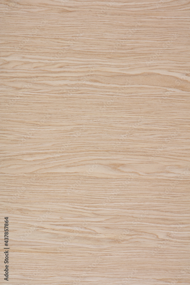 Planked Oak veneer texture in light color, background as part of your new design work. Planked Oak veneer texture in light color, background as part of your new design work.