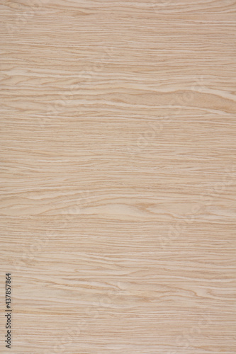 Planked Oak veneer texture in light color, background as part of your new design work.