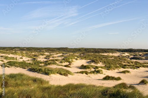 Landschap Berkheide; Landscape Berkheide, Netherlands