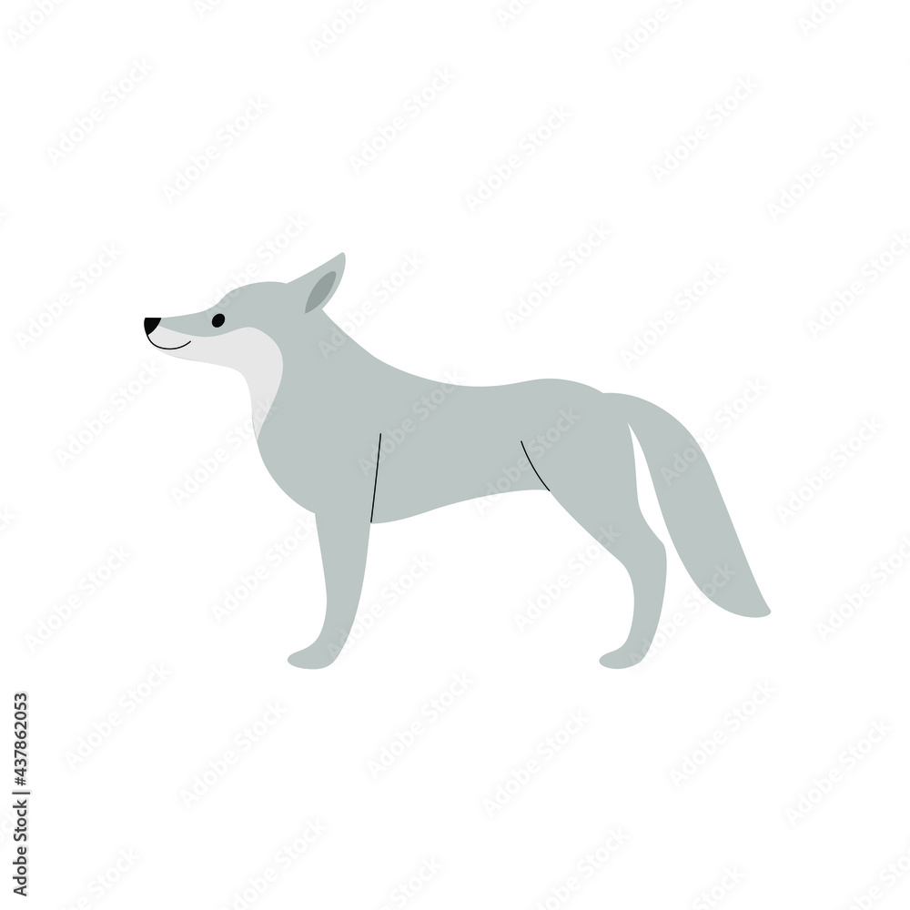 Cute wolf - cartoon animal character. Vector illustration in flat style isolated on white background.