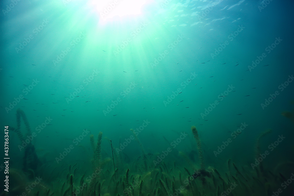 Fototapeta premium lake underwater landscape abstract / blue transparent water, eco nature protection underwater