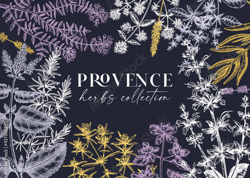 Traditional Provence herbs banner design. Vector frame with savory, marjoram, rosemary, thyme, oregano, lavender illustrations. Hand-sketched kitchen herbs, aromatic and medicinal plants