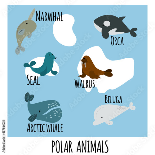 Cute vector set with polar sea animals; whales; walrus and seal on a map background