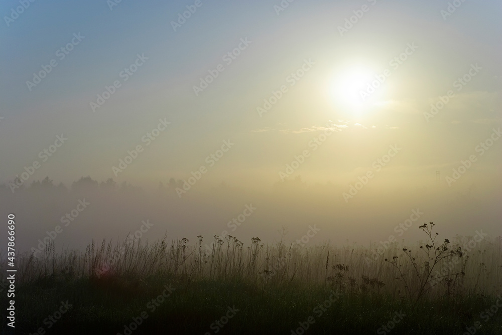 Naklejka premium Mglisty wschód słońca