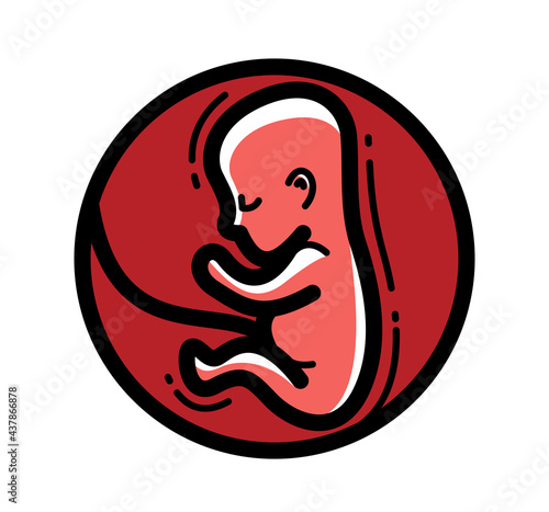 Human fetus embryo womb unborn child vector linear icon isolated on white background.