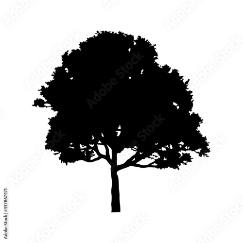 tree silhouette on white background