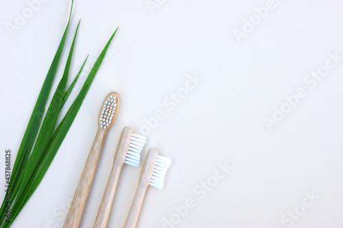 Bamboo toothbrushes and green grass on light background.