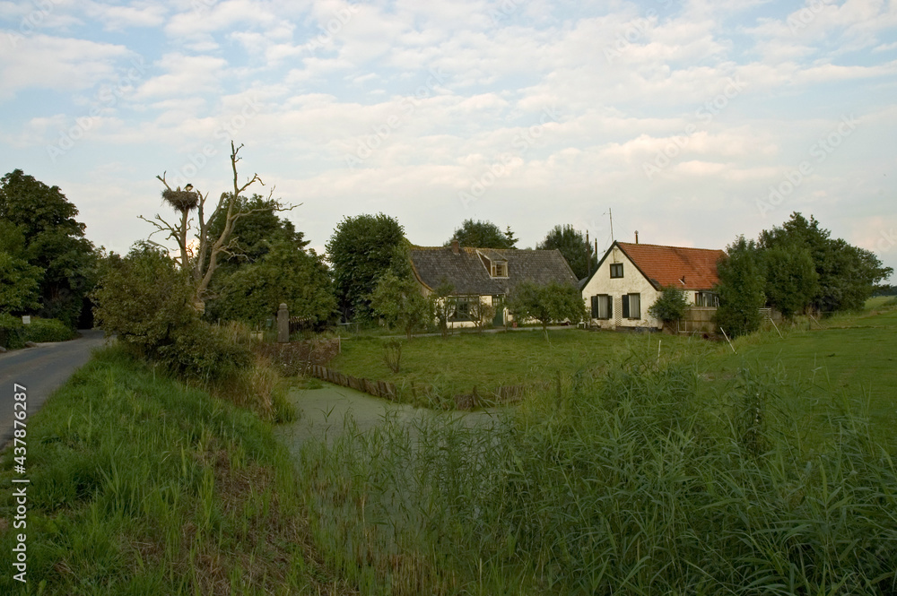 Dutch Farm with White Stork nest, Nederlandse boerderij met Ooievaarsnest Dutch Farm with White Stork nest, Nederlandse boerderij met Ooievaarsnest
