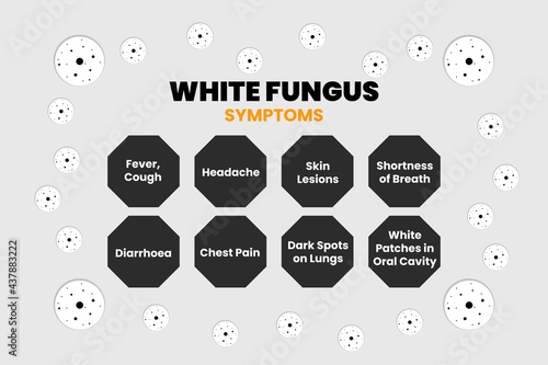White Fungus disease symptoms infographic on white background. White fungus symbols. Medical conceptual vector illustration.