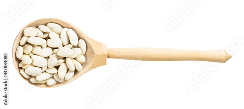 top view of wood spoon with uncooked white beans photo