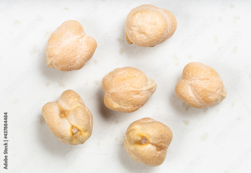 several raw dried chickpea seeds close up on gray several raw dried chickpea seeds close up on gray