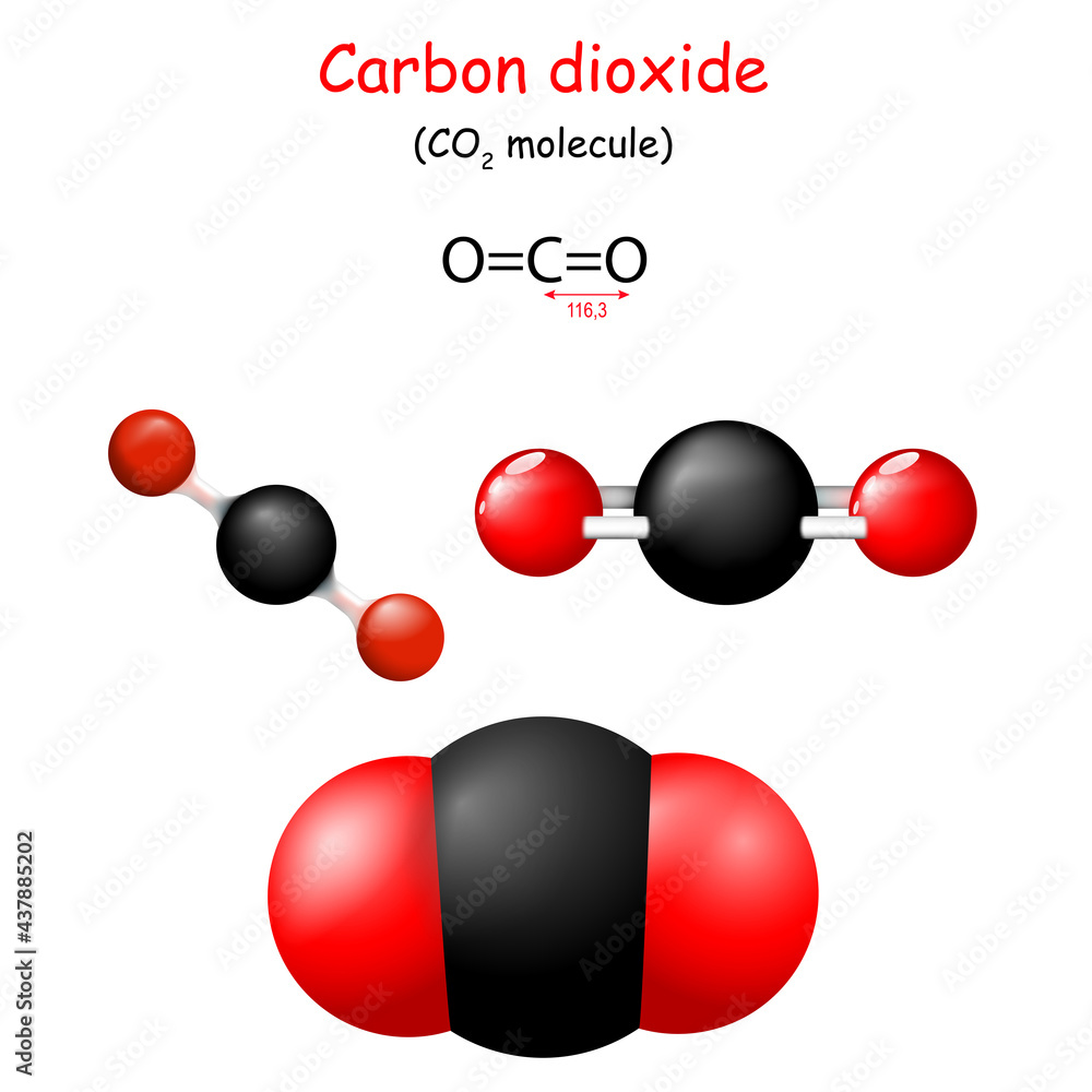 Carbon dioxide. Structural Chemical Formula of CO2 Stock Vector