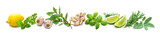Panoramic background with bunches of fresh garden herbs and spices