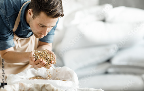 Fényképezés Modern brewery and factory work, grain quality control for craft beer production