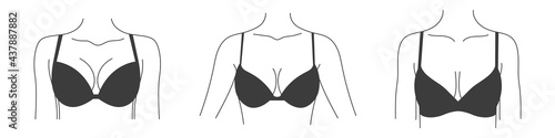 Types of bras. Collection of lingerie. Women's underwear. Vector illustration