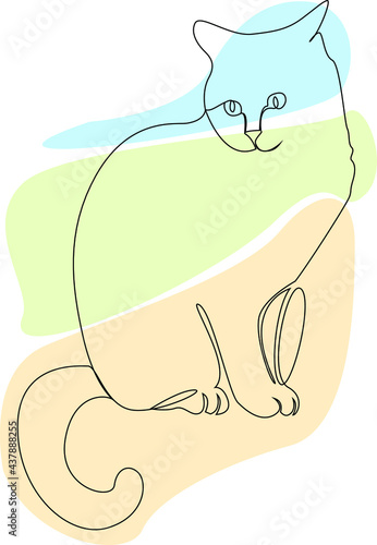 The cat is smooth-haired. Vector line art illustration.