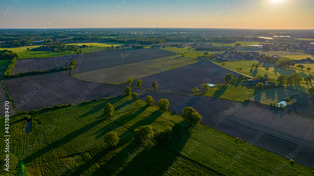Fototapeta premium Aerial view with a drone of a spring wavy agricultural countryside landscape with plowed and unplowed fields and trees in the blue evening sky. High quality photo