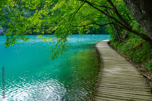 Amazing tourist wooden trail in a picturesque deep forest with clear lakes, Plitvice National Park, Croatia, Europe  © Danijel Hunjek