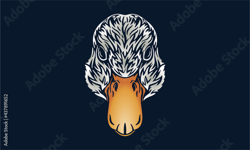 duck on black background