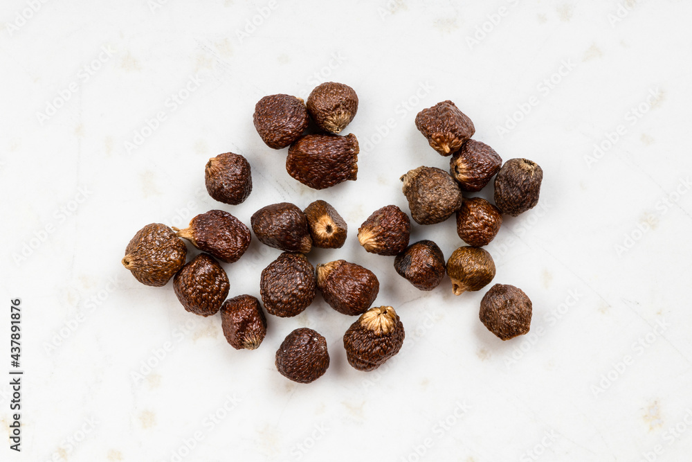 several grains of paradise pepper close up on gray several grains of paradise pepper close up on gray
