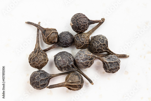 several tailed pepper (cubeb) close up on gray photo