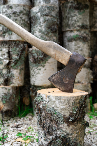Axe in stump. Axe ready for cutting timber.Woodworking tool. Lumberjack axe in wood, chopping timber