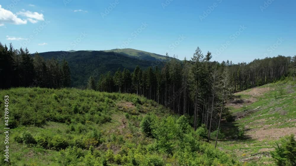 Aerial view of fir, larches and beech forests on the Tuscany mountains in Casentino near Arezzo. Italy. Aerial view of fir, larches and beech forests on the Tuscany mountains in Casentino near Arezzo. Italy.