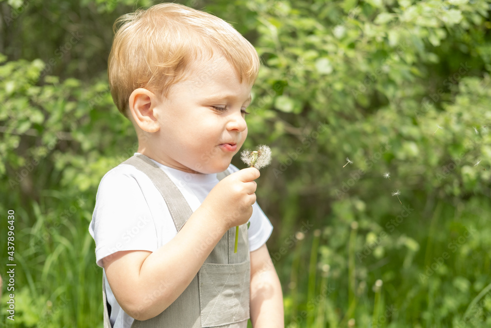 happy cute blond child boy blowing dendelion flower in green park happy cute blond child boy blowing dendelion flower in green park
