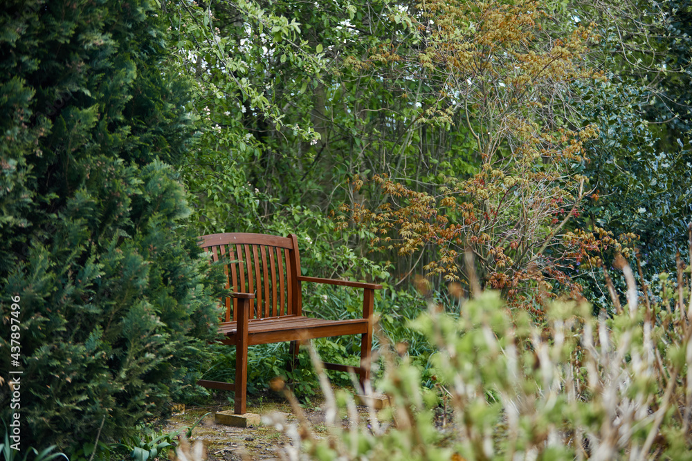 brown bench in a forest in the summer brown bench in a forest in the summer