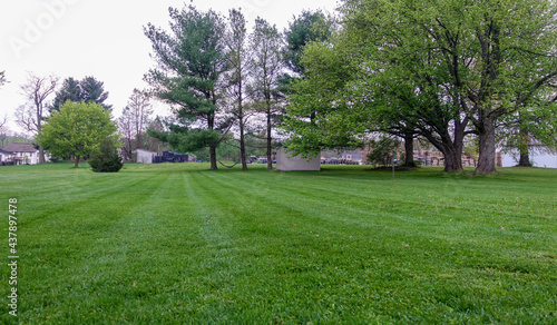 Green Lawn under Cloudy Skies