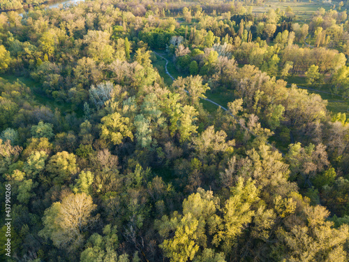 Natural city park in the rays of dawn. Dirt footpaths among the trees. Aerial drone view.