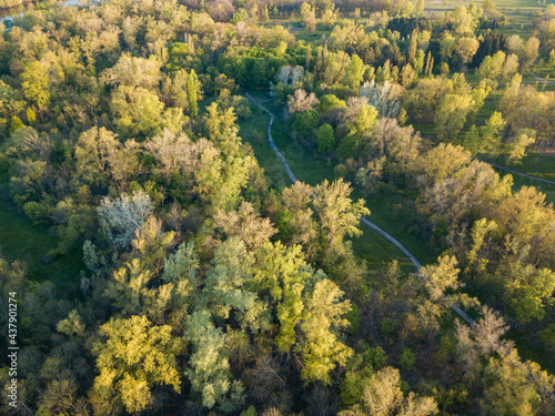 Natural city park in the rays of dawn. Dirt footpaths among the trees. Aerial drone view. © Sergey