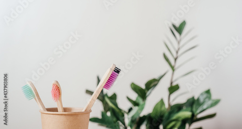 Colorful bamboo toothbrushes in a paper cup with a towel and green plant  dental care with zero waste concept  sustainable lifestyle